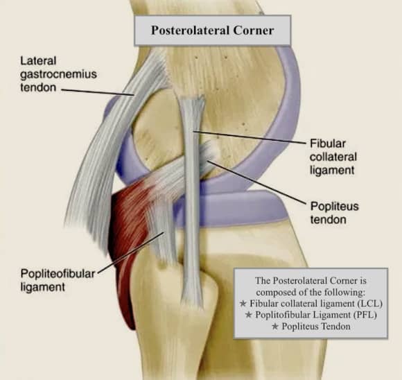 Ortho Reviews - Image