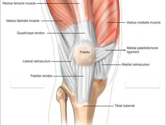 Ortho Reviews - Image