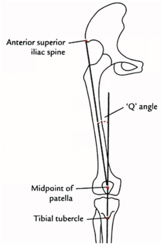 Ortho Reviews - Image