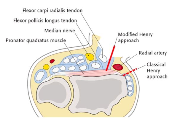 Ortho Reviews - Image