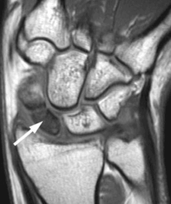 Ortho Reviews - Image